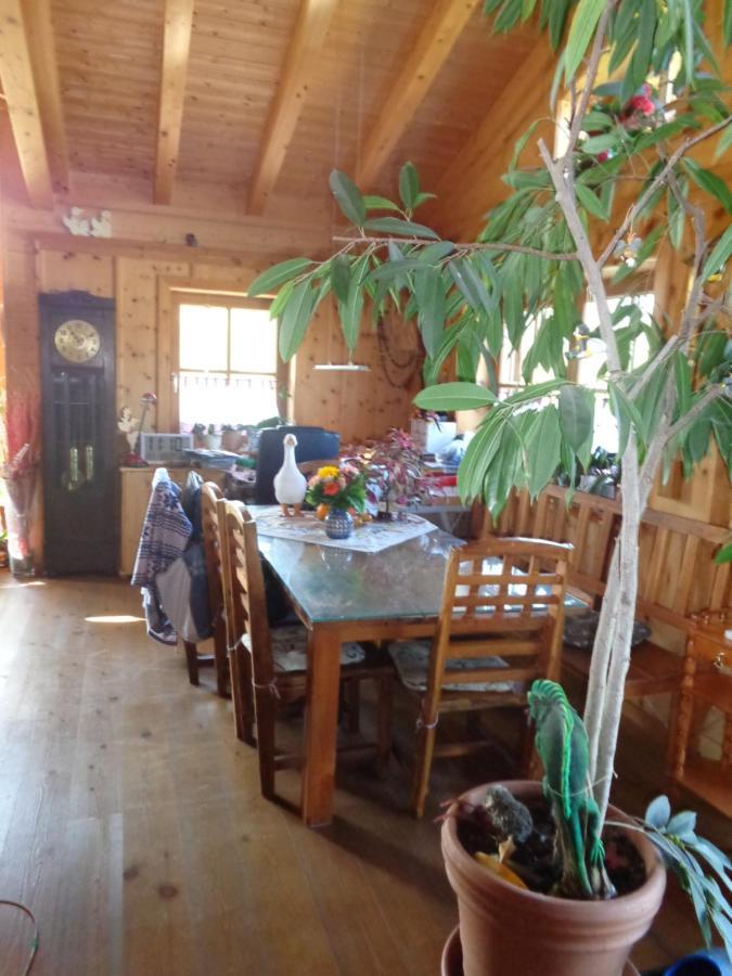 Barrierefreies Zimmer Im Blockhaus Mit Sauna Am See Soyen Exterior foto